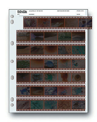 25 Pack Print File Storage Sheets 35-7b25 For 35mm Film Negatives 7 Strips